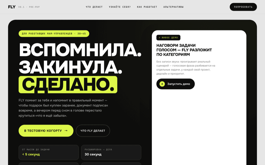 FLY — внешняя память для работающей мамы