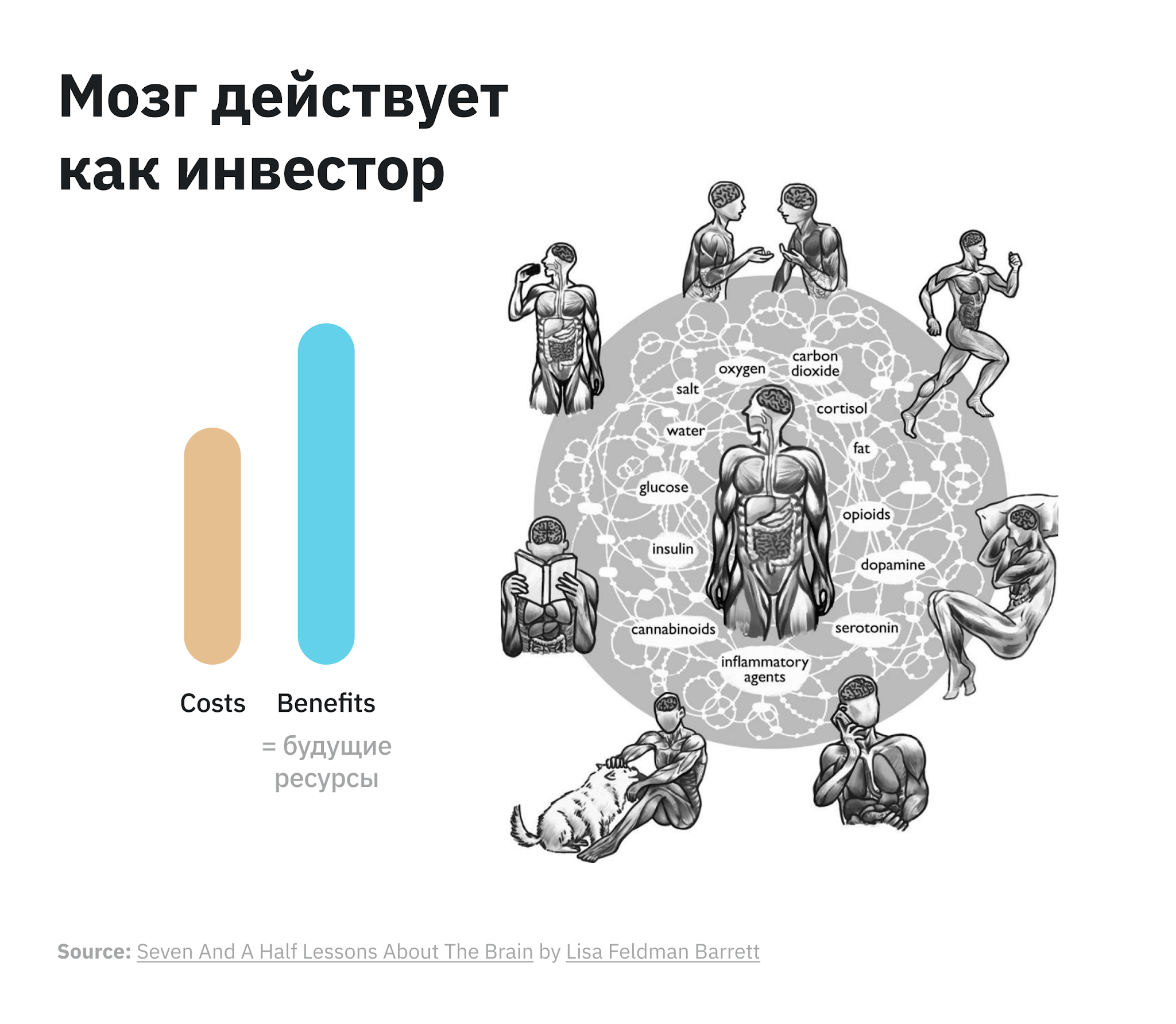 Мозг действует как инвестор и сравнивает затраты с выгодами